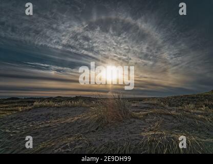 Dunes sur la côte de la mer du Nord dans les zones rurales du Danemark Banque D'Images