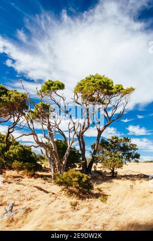 Cape Naturaliste en Australie Banque D'Images