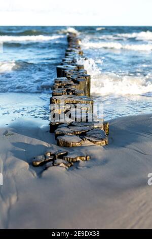Paisible plage d'été montrant le brise-lames en bois pendant l'heure d'or Juste après le lever du soleil sur la côte allemande de la mer Baltique Banque D'Images