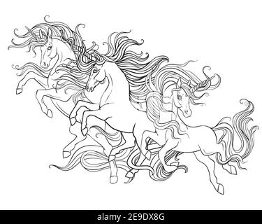 Trois monocornes en cours d'exécution avec de longues manes. Illustration de contour noir et blanc vectoriel pour la page de coloriage. Pour la conception de tirages, affiches, cartes postales, Illustration de Vecteur