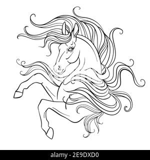 Belle licorne avec une longue minière. Illustration de contour noir et blanc vectoriel pour la page de coloriage. Pour la conception de tirages, affiches, cartes postales, couleur Illustration de Vecteur