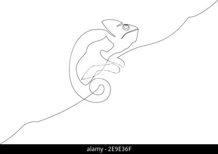 Dessin d'une ligne de caméléon. Illustration en ligne continue sur fond blanc Illustration de Vecteur