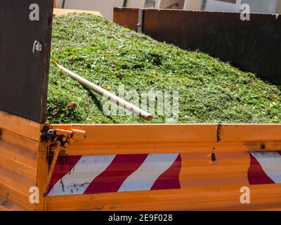 Tondeuse à gazon à coupe verte Banque D'Images