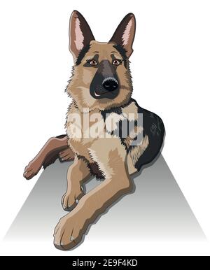 Chien race german berger est fièrement à la porte de la maison, image réaliste Illustration de Vecteur