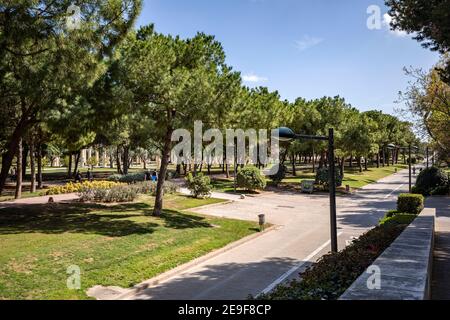 Arbres et chemins dans le parc de la ville dans le lit de la vieille rivière de la Turia à Valence, Espagne, Europe Banque D'Images