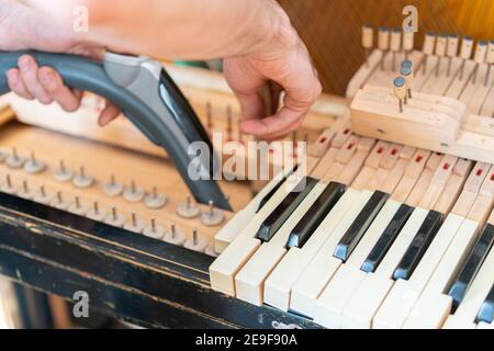 Installation d'un vieux piano. Le maître répare un vieux piano. Nettoyage en profondeur du piano. Mains d'un professionnel réparant et réglant un vieux piano Banque D'Images