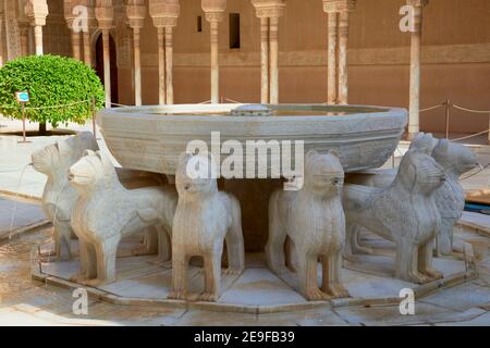 Patio de los Leones (cour des lions) Alhambra, Grenade, Espagne Banque D'Images