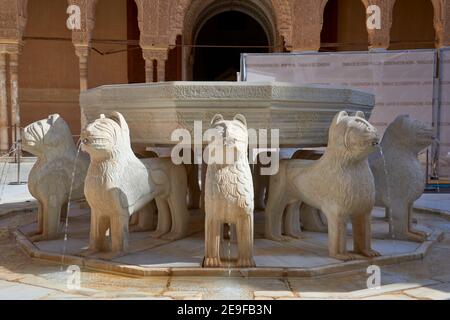 Patio de los Leones (cour des lions) Alhambra, Grenade, Espagne Banque D'Images