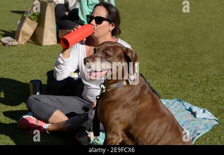 Un chien et son propriétaire se détendent dans un parc dans le populaire quartier de Pearl Entertainment à San Antonio, Texas. Banque D'Images