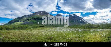 Belles plaines de parterres de fleurs et massif montagneux Akka en Suède Banque D'Images