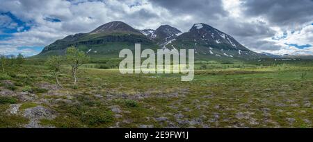 De belles plaines fleuries et le massif de la montagne Akka dans le parc national suédois Big Lake, au nord du cercle arctique, en Laponie, en Suède. Banque D'Images