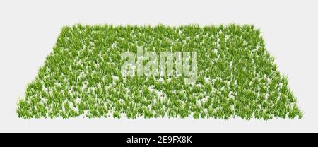 Bannière de champ d'herbe pour la composition isolée sur fond avec masque. rendu 3d - illustration Banque D'Images