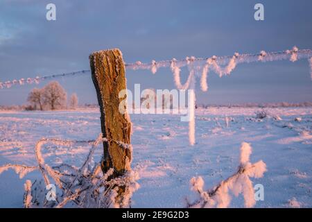 Lever du soleil à Wiesmoor, Eastfrisa le matin d'hiver froid avec de la neige et un lever de soleil coloré. Banque D'Images