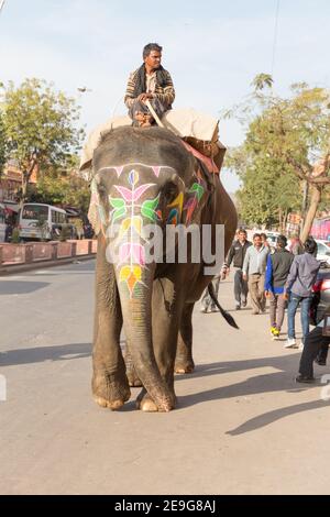 Inde Jaipur Mahout prend son éléphant coloré à travers les rues Banque D'Images