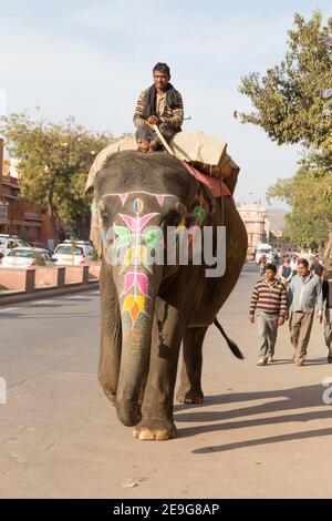 Inde Jaipur Mahout prend son éléphant coloré à travers les rues Banque D'Images