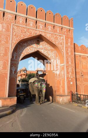 Inde Jaipur Elephant et Mahout passent par la porte d'Aimeri de la vieille ville Banque D'Images