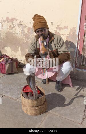 Inde Jaipur Snake Charmer en train de jouer avec Cobra Banque D'Images