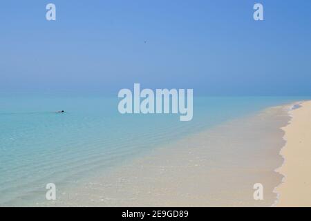 Nageur solitaire dans une eau claire et limpide sur un plat Journée calme sur la Grande barrière de corail à Heron Island En Australie Banque D'Images