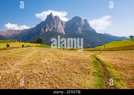 Vue sur Sciliar (Schlern) près de Siusi, Alto Adige, Italie Banque D'Images