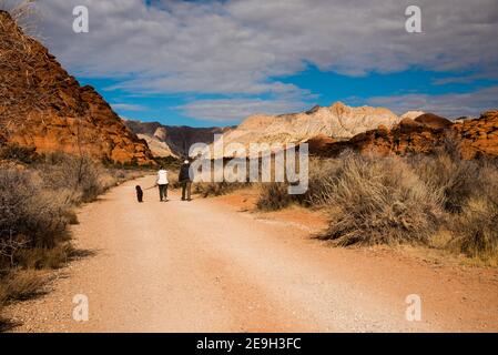 Couple senior marchant leur chien dans le paysage désertique de Snow Canyon Utah, États-Unis. Banque D'Images