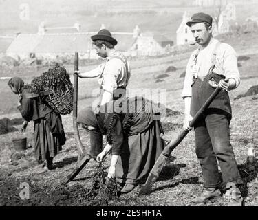 Photographie de la fin du XIXe siècle - Crofters de l'île de Skye plantant des pommes de terre, Écosse Banque D'Images