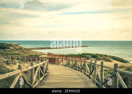 Dunas de Artola - Parc naturel de Marbella, Costa del sol, Espagne. Chemin du bois , attraction touristique. Banque D'Images