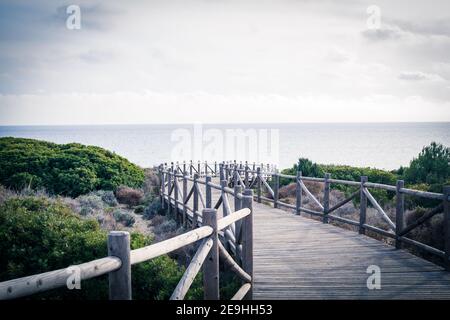 Dunas de Artola - Parc naturel de Marbella, Costa del sol, Espagne. Chemin du bois , attraction touristique. Banque D'Images