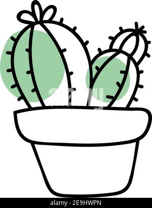 Trois cactus dans un petit pot, illustration, vecteur sur fond blanc. Illustration de Vecteur