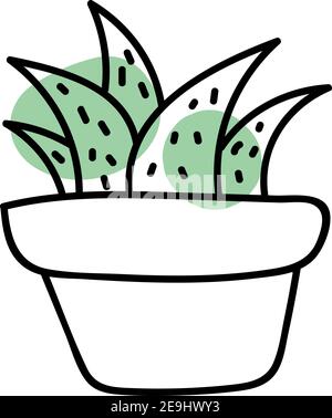 Cinq cactus dans un pot, illustration, vecteur sur fond blanc. Illustration de Vecteur