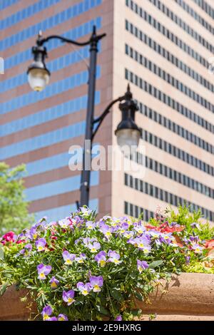 Birmingham Alabama, centre-ville, panier de fleurs suspendu lampe de bureau de poste, Banque D'Images