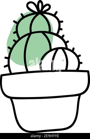 Trois cactus ronds dans un pot, illustration, vecteur sur fond blanc. Illustration de Vecteur