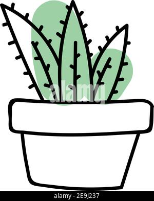 Trois longs cactus dans un pot, illustration, vecteur sur fond blanc. Illustration de Vecteur