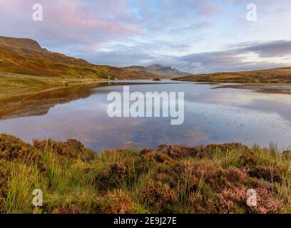 Île de Skye, Écosse : lumière du lever du soleil et nuages se reflétant dans le Loch Fada avec des bruyères qui fleurissent sur le rivage et l'emblématique Old Man of Storr dans le Th Banque D'Images