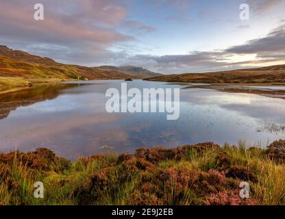 Île de Skye, Écosse : lumière du lever du soleil et nuages se reflétant dans le Loch Fada avec des bruyères qui fleurissent sur le rivage et l'emblématique Old Man of Storr dans le Th Banque D'Images