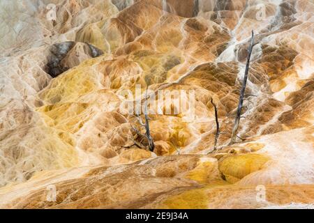 L'eau coule vers le bas en travertine accumulé sur Palette Spring à Mammoth Hot Springs. Parc national de Yellowstone, Wyoming Banque D'Images