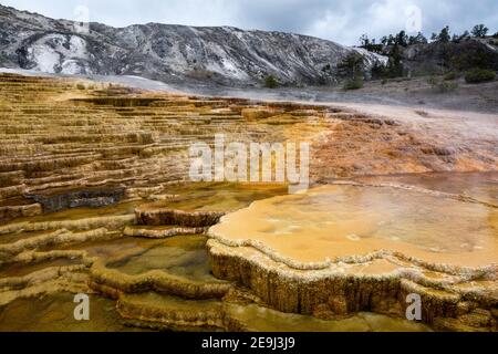 Motte Terrace versant de l'eau dans les piscines inférieures et les terrasses construites de travertin à Mammoth Hot Springs. Parc national de Yellowstone, Wyoming Banque D'Images