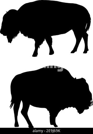 Silhouettes de Bison américain Illustration de Vecteur