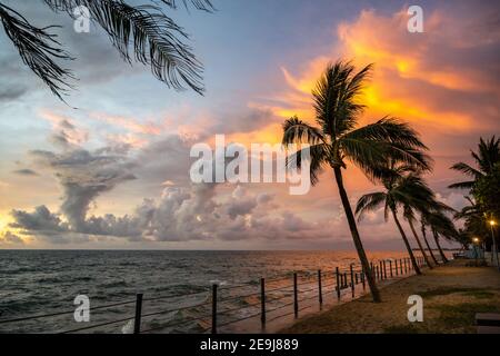 Vue imprenable sur le bord de mer le soir, cocotiers et ciel spectaculaire, atmosphère magnifique et passionnante au bord de la mer dans la province de Phang Nga, à Thaila Banque D'Images