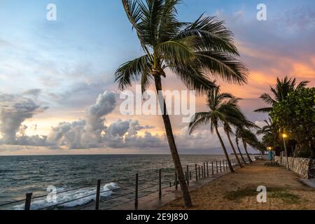 Vue imprenable sur le bord de mer le soir, cocotiers et ciel spectaculaire, atmosphère magnifique et passionnante au bord de la mer dans la province de Phang Nga, à Thaila Banque D'Images