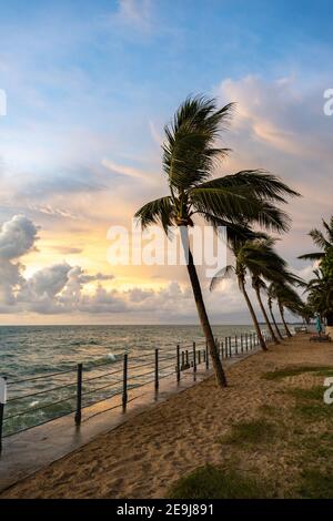 Vue imprenable sur le bord de mer le soir, cocotiers et ciel spectaculaire, atmosphère magnifique et passionnante au bord de la mer dans la province de Phang Nga, à Thaila Banque D'Images