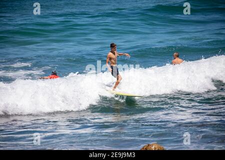 Homme adolescent surfant sur les vagues à Avalon Beach à Sydney Un jour d'été, Sydney, Australie Banque D'Images