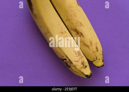 Deux bananes mûres jaunes, sur fond violet Banque D'Images