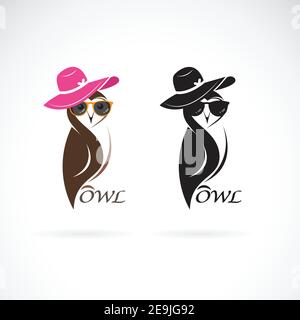 Motif vectoriel de hibou sur fond blanc. Oiseaux. Animaux. Hiboux portant de magnifiques chapeaux et lunettes, illustration vectorielle facile à modifier. Illustration de Vecteur