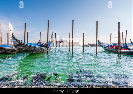 Alignement des gondoles dans le lagon près de la place Saint-Marc à Venise, Vénétie, Italie Banque D'Images