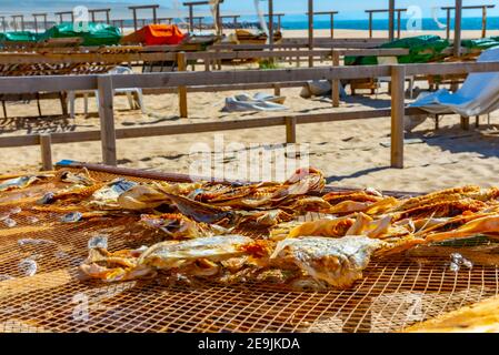 Fruits de mer séchant au soleil à Nazaré, portugal Banque D'Images