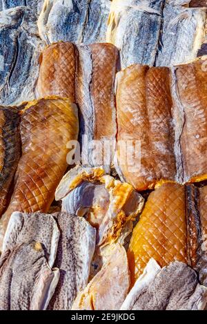 Fruits de mer séchant au soleil à Nazaré, portugal Banque D'Images