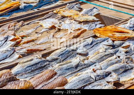 Fruits de mer séchant au soleil à Nazaré, portugal Banque D'Images