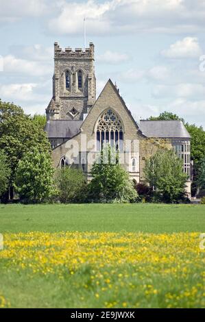 Vue sur les prés de buttercup vers l'église de Saint John l'évangéliste, Eton, Berkshire. Banque D'Images