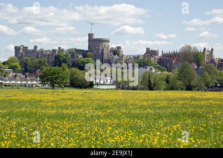 Vue depuis la prairie de Brocas, une partie de l'Eton College donnant sur l'imposant château de Windsor. Le Château est une des résidences de la Reine. Banque D'Images