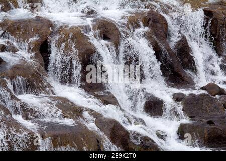 Hraunfossar plus que des cascades miniatures formées par des rivulets qui coulent sur une distance d'environ 900 mètres hors du Hallmundarhraun. Les cascades Banque D'Images